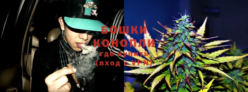 Бошки Шишки SATIVA & INDICA  наркошоп  Киржач 